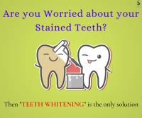 Standard Dental LLC image 62